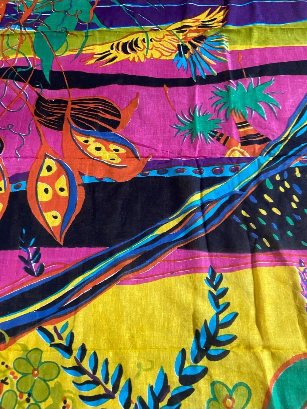 N/A tropical bird